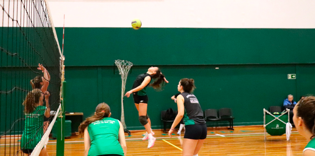 Sogipa: Equipes de vôlei feminino da Sogipa participaram do 12º Festival  Internacional Cidade de Estrela