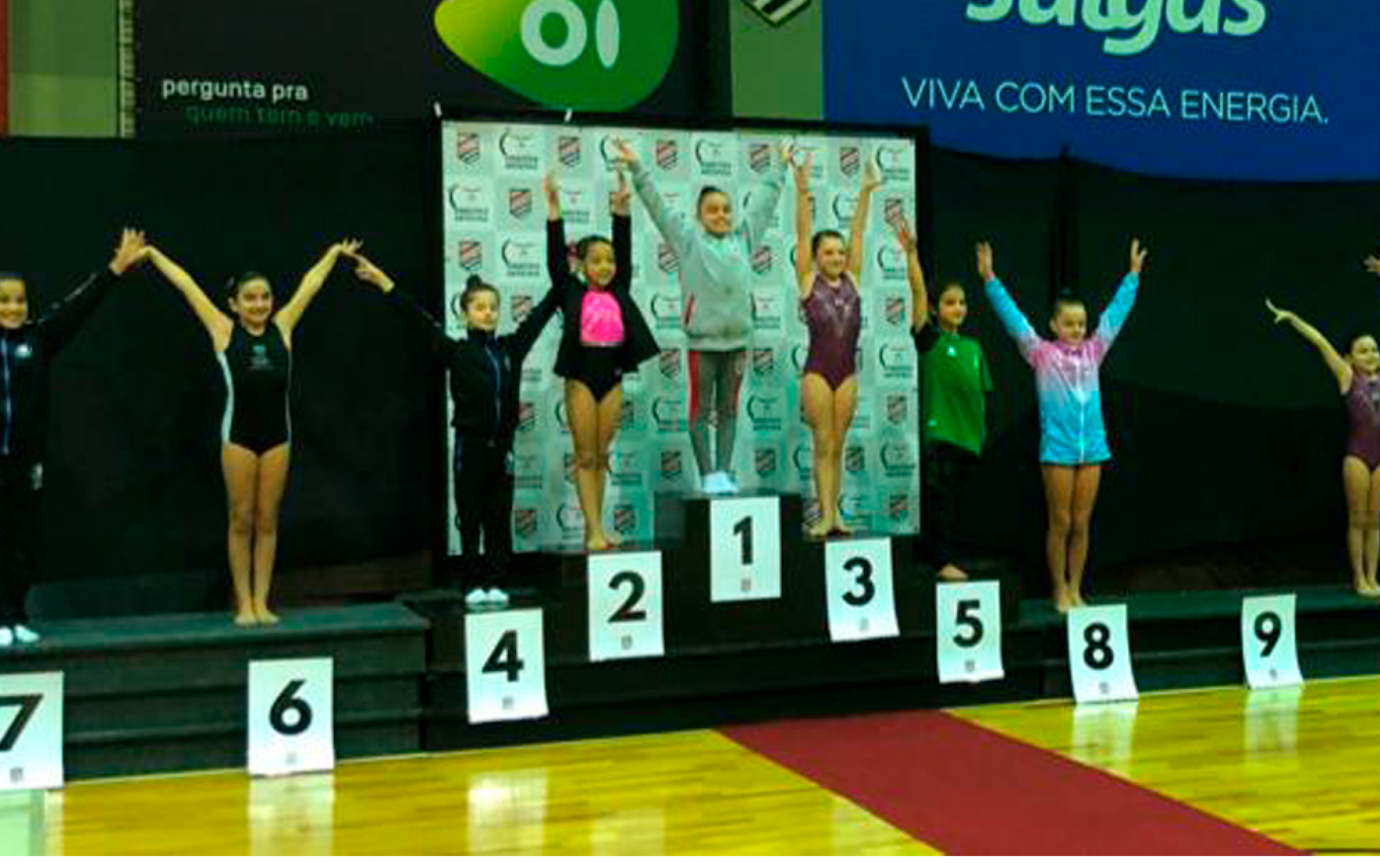 Ginastas do RJ conquistam Ouro no Troféu Sogipa de Ginástica Artística -  Recreio da Juventude